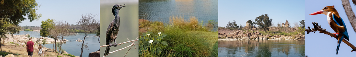 Nature Trail by the Betwa Riverside